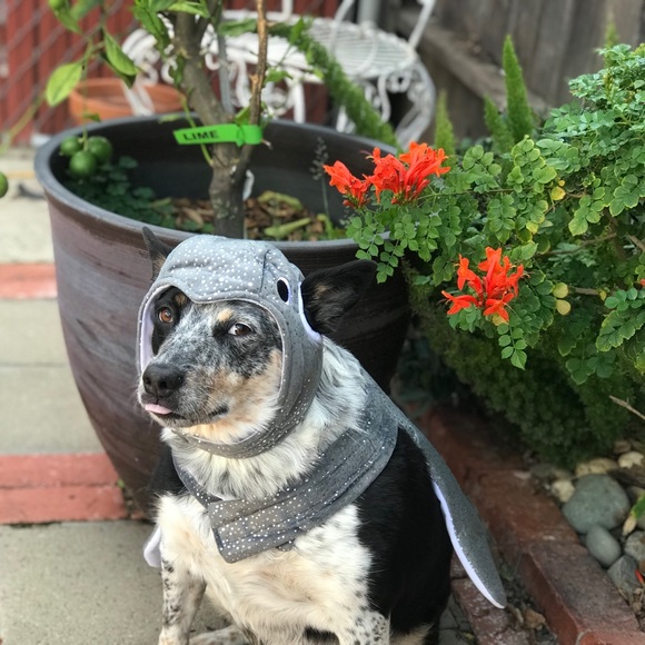 🧡About Our Shop 🧡 - Picture 4 of 8